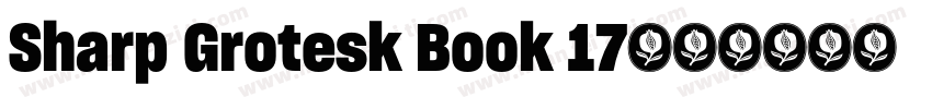 Sharp Grotesk Book 17字体转换